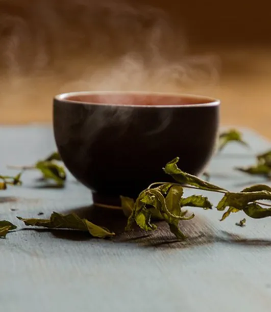 イメージ：幻のお茶、ぐり茶